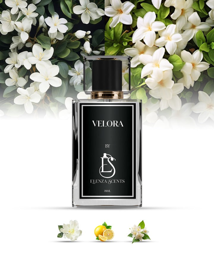 VELORA INSPIRED BY RASASI ROMACE